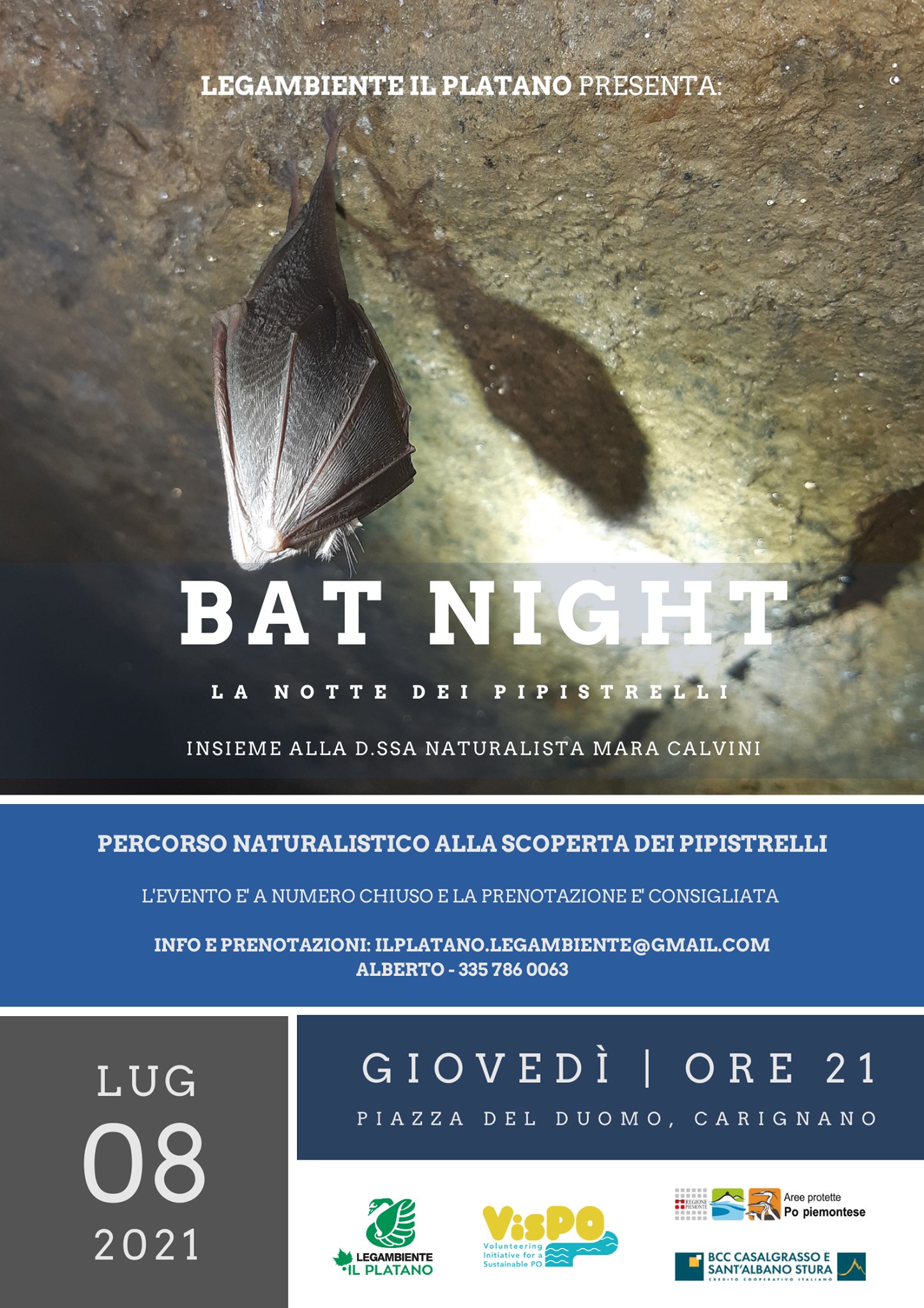 Bat Night - La Notte dei Pipistrelli